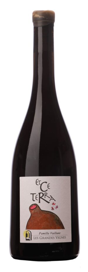 Etce Terra - Cuvée en amphore